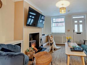 a dog sitting in a living room with a fireplace at 2 Bed in Beverley 93219 in Beverley