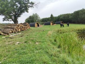 un grupo de caballos pastando en un campo junto a un montón de troncos en Agroturystyka Dzikie Stawy-Mazury, 