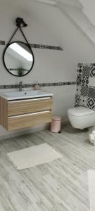 ein Badezimmer mit Waschbecken, Toilette und Spiegel in der Unterkunft Chambres dans maison campagne circuit LE MANS in Roézé-sur-Sarthe
