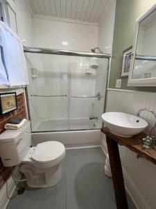 a bathroom with a toilet and a sink and a shower at Madison Manor II by the River Hot Tub Downtown in Madison