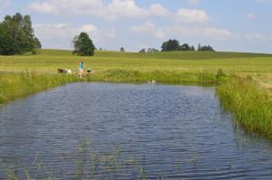 una persona de pie junto a un estanque en un campo en Agroturystyka Dzikie Stawy-Mazury, 