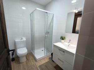 een badkamer met een douche, een toilet en een wastafel bij El Mirador del Valle FACIL ACCESO con COCHE in Toledo