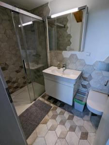 a bathroom with a sink and a shower and a toilet at Orlov - Brána do lesa in Příbram