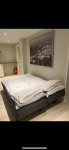 A bed or beds in a room at Koselig kjellerleilighet sentralt på Orkanger