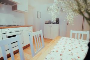 パッサウにある*Zentrumsnahe Wohlfühl-2-Zimmer-Wohnung*のキッチン(テーブル、椅子2脚、コンロ付)