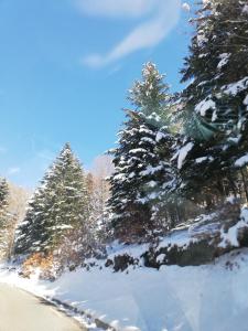 Maison au calme vue montagne et stations ski tokom zime