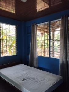 Bett in einem blauen Zimmer mit 2 Fenstern in der Unterkunft Chill-Inn Nosara in Nosara