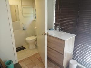 a bathroom with a sink and a toilet at 25 Glenfell Place - One Bedroom Studio in Auckland