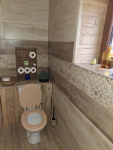 a bathroom with a toilet in a room at Chata Ujo in Hranice