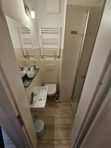 a bathroom with a toilet and a sink and a shower at Cozy studio in Hinterglemm in Saalbach-Hinterglemm