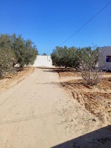 a dirt road in the middle of a desert at l'olivier in Aghīr