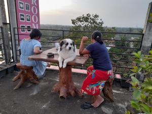 zwei Frauen sitzen an einem Picknicktisch mit einem Hund in der Unterkunft Sacred City Tourist Resort in Anuradhapura