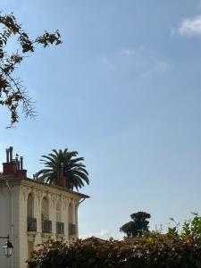 un bâtiment avec un palmier au sommet dans l'établissement Provencal house, sea side, private parking, à Nice