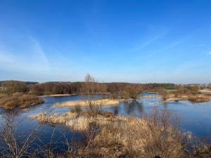 a view of a river with trees in the distance at APARTAMENT CENTRUM in Nowe Miasto Lubawskie