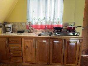 a kitchen with a sink and a stove and a window at Cabaña Las Colinas in Bijagua