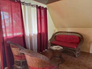 a living room with a chair and a red pillow at Cabaña Las Colinas in Bijagua