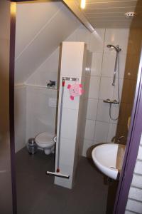 een kleine badkamer met een toilet en een wastafel bij Appartement Hoeve Polsdonk in Oirschot