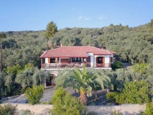 an aerial view of a house with a palm tree at Olive Grove House in Argalasti