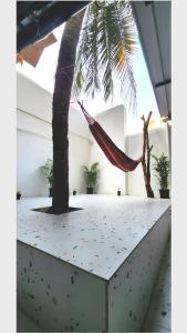 a hammock hanging from a palm tree in a room at Hammock Hostels - Bandra in Mumbai