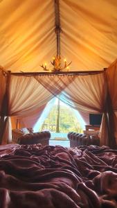 a bed in a tent with a large window at Tenda de luxo Guardião da Montanha in São Paulo dos Pinhais