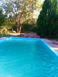 a blue swimming pool in a yard with trees at Sonqo Wasi in Cruz del Eje