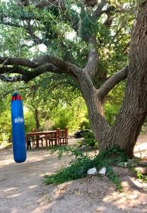 una borsa blu appesa ad un albero in un parco di Sonqo Wasi a Cruz del Eje