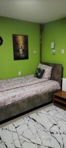 a bed in a room with a green wall at Eko Vlasina in Vlasotince