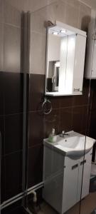 een badkamer met een wastafel, een spiegel en een douche bij Eko Vlasina in Vlasotince