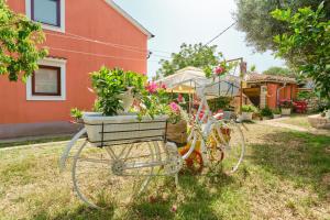 Zahrada ubytování Apartments with a parking space Cunski, Losinj - 7867