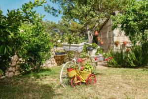 Zahrada ubytování Apartments with a parking space Cunski, Losinj - 7867