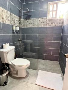 La salle de bains est pourvue d'une douche et de toilettes. dans l'établissement City suite Sosua AptStudio, à Sosúa