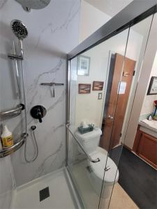 a bathroom with a glass shower with a toilet at The Dewberry Homestay B&B in Edmonton