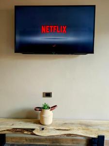 einen Fernseher an einer Wand mit einer Pflanze auf einem Tisch in der Unterkunft Habitación Deluxe 1 con Jacuzzi a 20mt del parque in Salento