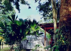 a house with palm trees in front of it at Glamping Naioth in Guápiles