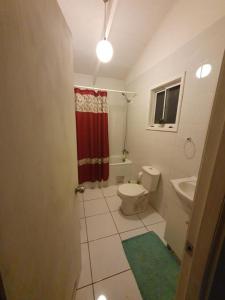 a bathroom with a red shower curtain and a toilet at CABAÑA ENTRE ARRAYANES Y COPIHUES Selva VALDIVIANA in Valdivia