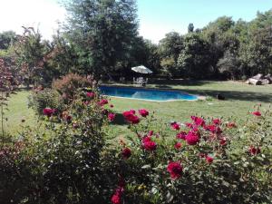 a garden with a swimming pool and flowers at Cabaña amoblada in Chillán