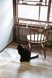 Kjæledyr som tilhører gjester på Akano House, an inn of katarai - Vacation STAY 10702