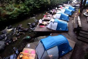 Camping hutan pinus singkur rahong pangalengan