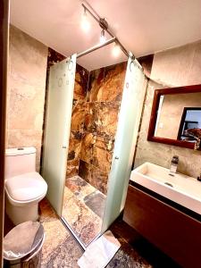 a bathroom with a shower and a toilet and a sink at APARTAMENTO FERROCARRIL 201 in Ibagué