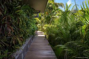 a wooden path through a jungle with palm trees at Luxury Vacation Villa 6 in Pointe Milou