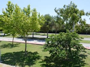 duas árvores no meio de um parque em Apartamento Sant Pere Pescador, 1 dormitorio, 4 personas - ES-89-129 em Sant Pere Pescador
