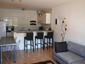uma sala de estar com um sofá e uma cozinha em Apartamento Sant Pere Pescador, 1 dormitorio, 4 personas - ES-89-129 em Sant Pere Pescador