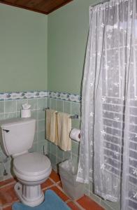 a bathroom with a toilet and a shower curtain at Calypso Court - Private 1 bedroom villa with pool villa in Cap Estate