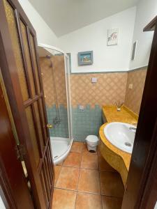 ein Bad mit einer Dusche, einem Waschbecken und einem WC in der Unterkunft Olivia’s house in Maspalomas