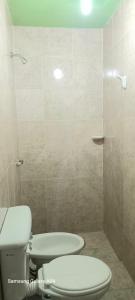 uma casa de banho com um WC e um chuveiro em Alquiler Temporario Catamarca em San Fernando del Valle de Catamarca