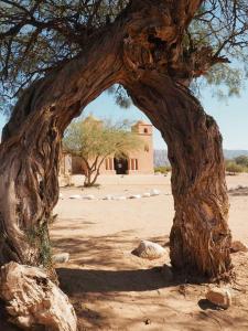 a tree with an arch in the middle of a field at Alquiler de departamentos por dia Novos Apart Catamarca in San Fernando del Valle de Catamarca