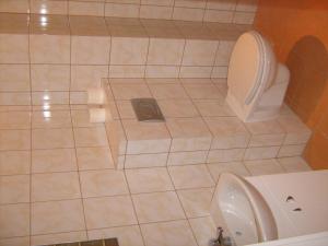 a bathroom with a toilet and a sink at Villa Centrum in Malbork