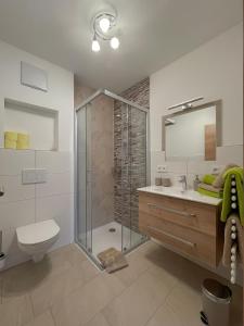 a bathroom with a shower and a toilet and a sink at Wohnen am Almufer - Ferienwohnung Straßmair in Grünau im Almtal