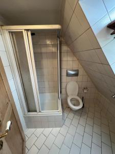a bathroom with a shower and a toilet at Wunderschöne Maisonette Wohnung in Wendelstein - Messenähe - Nürnberg in Wendelstein