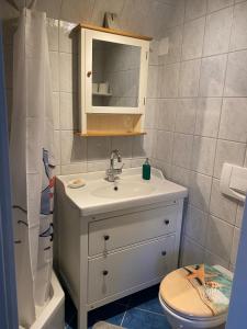 uma casa de banho com um lavatório, um WC e um espelho. em Schönes Apartment mit Aussicht über Graz em Graz